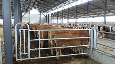 J.PORTILLON DUO SEUL BA2091 - photo 4