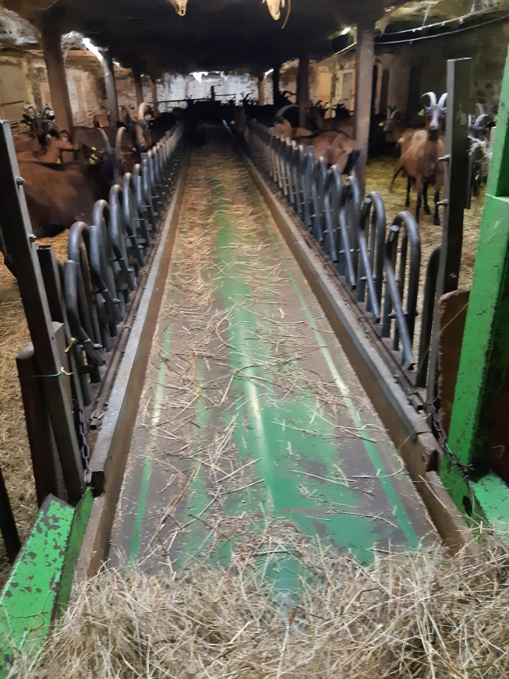 Tondeuse à gazon électrique tracteur avec largeur de coupe de 76,2 cm