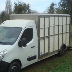 Bétaillère RENAULT MASTER DCI 165