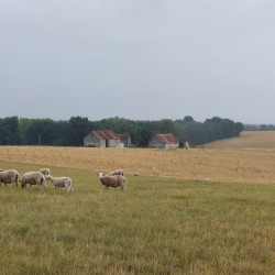 Vds croisées Limousines