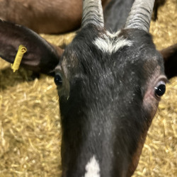 Recherche 1 personne ou couple