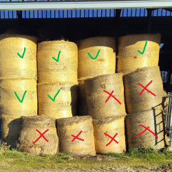 Foin BIO prairie permanente 2025