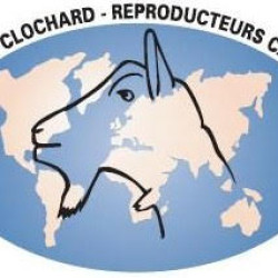 L'Elevage Clochard recrute