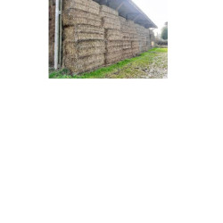 FOIN MULTI-ESPECES 2025