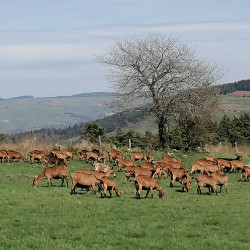 CDD mi temps de 6 mois 