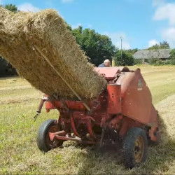 Vds botteleuse Ferguson modèle MF8