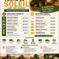 prestation de services 