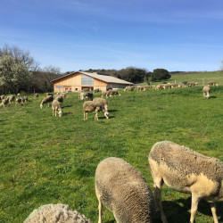 Berger(ère) - Aide fromager(ère)