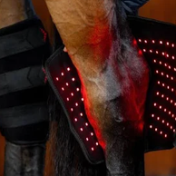 PROTECTIONS LUMINEUSES CHEVAL