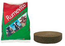 RUMEVITE BLOC ENERGIE PROTEINE