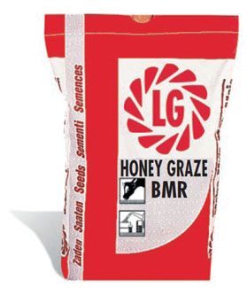 SORGHO HONEY GRAZE 25 KG - photo 2