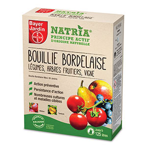 BOUILLIE BORDELAISE 750 G BOUILLIE BORDELAISE 750 G