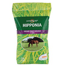 MELANGE GRAMINEES EQUIN