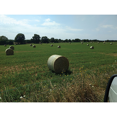 FILET CROSS X-PAND 2800 M - photo 2