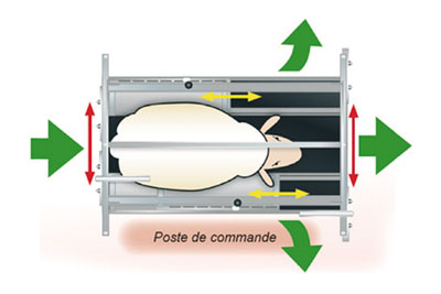 CAGE DE CONTENTION OVIN - photo 2