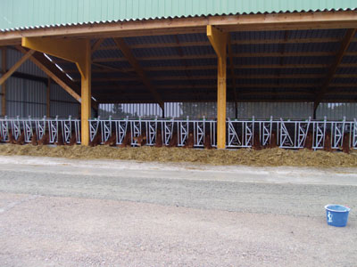 CORNADIS SAFETY IV 7 PL/5 M - photo 2