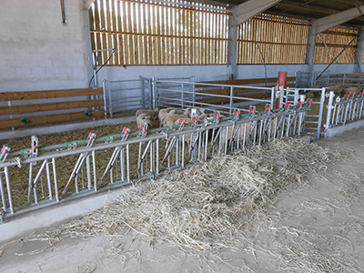 CORNADIS OVIN 7 PLACES - photo 3