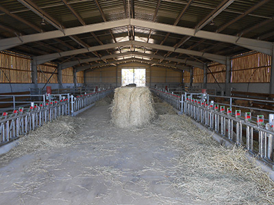 CORNADIS OVIN 7 PLACES - photo 5