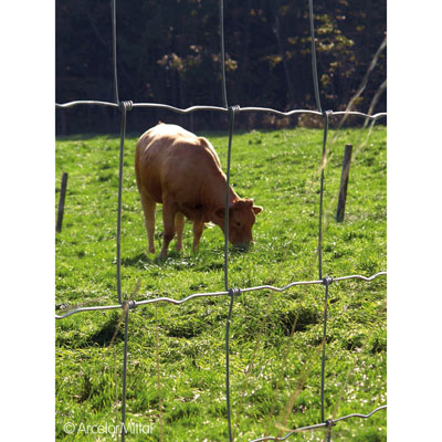 Clôture En Mouton En Noisetier - 8 Cm Entre Lattes, 100 Cm De Haut, Rouleau De 5 M - Naturelle Et Durable