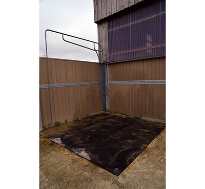 DALLE APOLLON  1 M X 1 M - photo 2