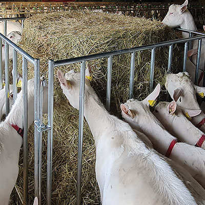 RATELIER OVIN 4 CLAIES 1.60 X 1.60 M - photo 2