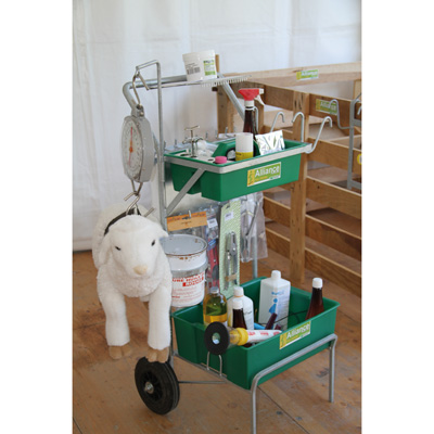 SERVANTE MISE BAS - photo 4