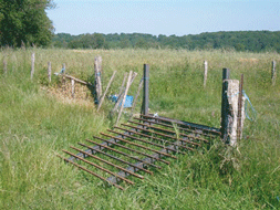 PONT MOBILE POUR QUAD