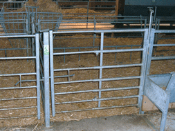 BARRIERE EXTENSIBLE 60/100 CM