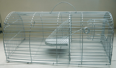 NASSE A RAT - photo 2
