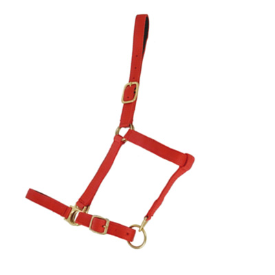 LICOL DOUBLE CUIR PONEY - photo 3