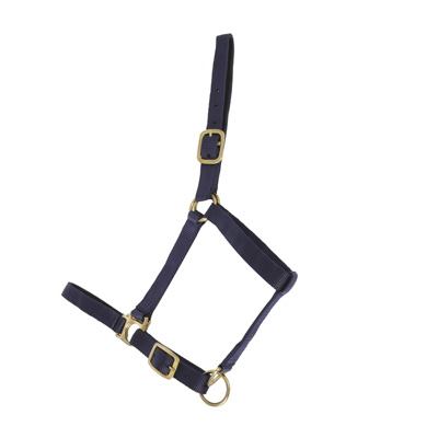 LICOL D.CUIR CHEVAL TRAIT - photo 2