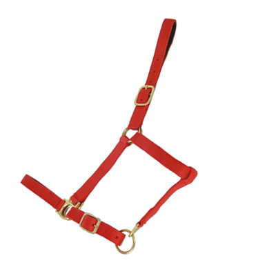 LICOL D.CUIR CHEVAL TRAIT - photo 3