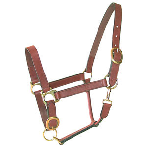 LICOL CUIR HUILE CHEVAL - photo 2
