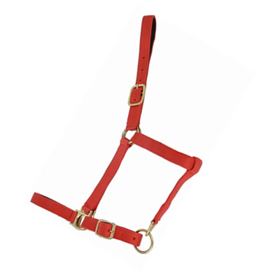 LICOL D.CUIR CHEVAL - photo 3