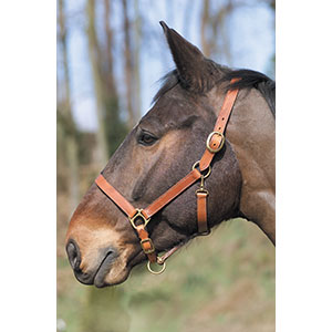 LICOL CUIR NOISETTE CHEVAL LICOL CUIR NOISETTE CHEVAL