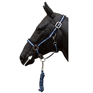 LICOL + LONGE CHEVAL - photo 2