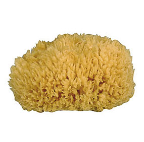 EPONGE NATURELLE EPONGE NATURELLE