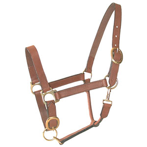 LICOL CUIR HUILE DOUBLE PONEY - photo 2