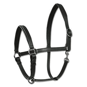 LICOL CUIR "ODYSSEY" - photo 2