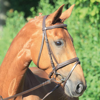 BRIDON CLUB DOUBLE PONEY (COB) - photo 2