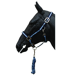 LICOL + LONGE PONEY - photo 2