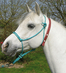 COLLIER ANTI-INSECTES CHEVAUX COLLIER ANTI-INSECTES CHEVAUX