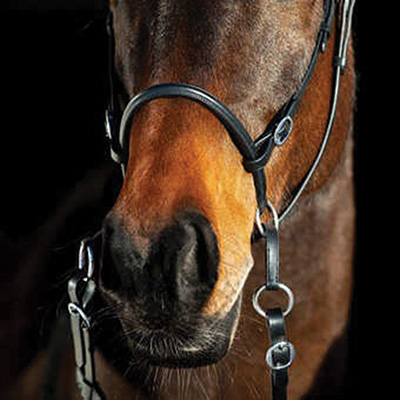 BRIDON BITLESS - photo 2