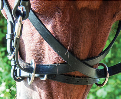 BRIDON BITLESS - photo 4