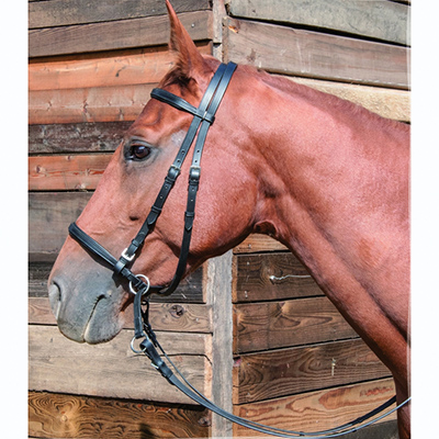 BRIDON BITLESS - photo 5