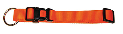 COLLIER CHIEN ORANGE 20-35 CM - photo 2