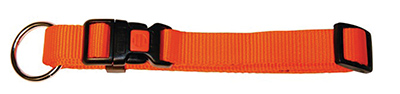 COLLIER CHIEN ORANGE 30-45 CM - photo 2