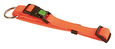 COLLIER CHIEN ORANGE 40-55 CM COLLIER CHIEN ORANGE 40-55 CM