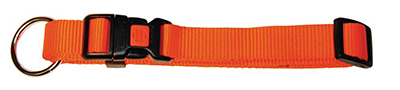 COLLIER CHIEN ORANGE 40-55 CM - photo 2