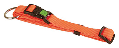COLLIER CHIEN ORANGE 45-65 CM COLLIER CHIEN ORANGE 45-65 CM